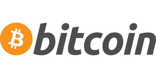 bitcoin-225080_640.png.511729841b134144011c749f5a1d39ce.png